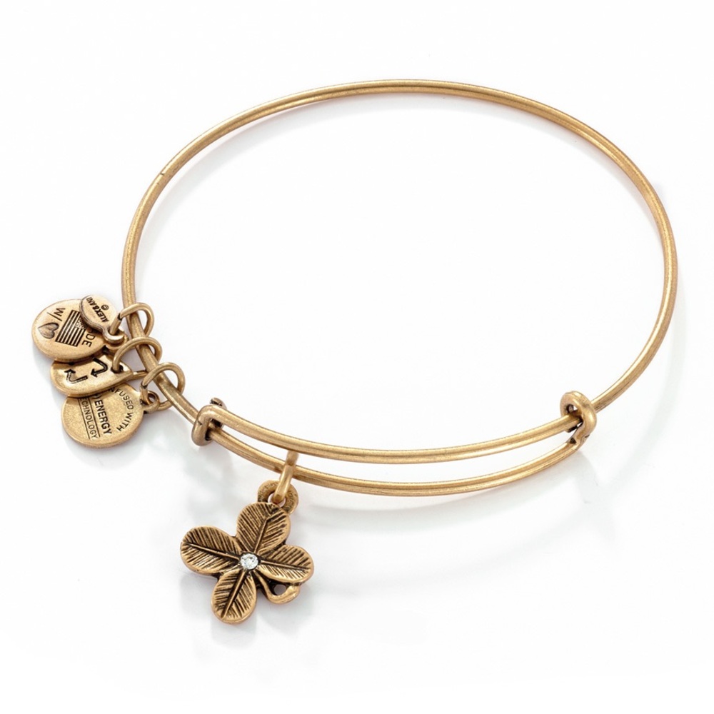 Alex and Ani Lucky Clover Charm Bracelet